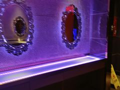 -纯K(哈西店)