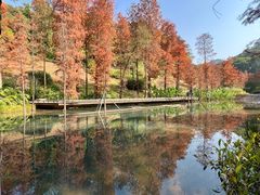 -云溪植物园