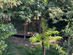 -石家庄市动物园