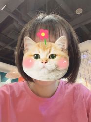 -ON STAR SALON