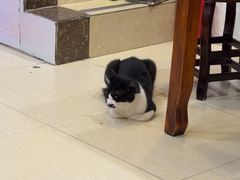 -竹园竹升面(西关总店)