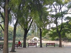 -团结湖公园