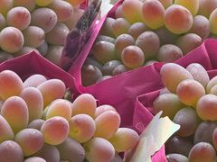 -马陆小张葡萄园农家乐