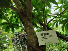 -呀路古热带植物园-恐龙馆