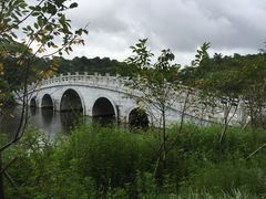-金山植物公园
