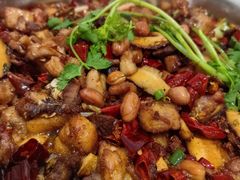 -食神又名厕所兔