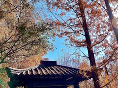 -三国水浒景区(无锡影视基地)