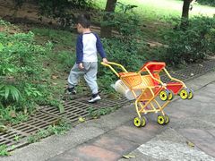 -南国桃园旅游度假区