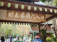 -野象谷景区