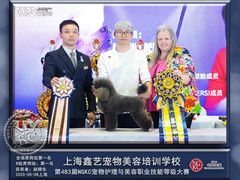 -鑫艺宠物美容培训学校