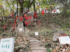 景点-宝通禅寺