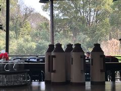 -张鸟园农家乐(张鸟园店)