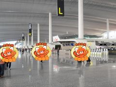 -广州白云国际机场-T2航站楼