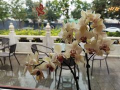 -东门烤鸭店(鼓楼店)