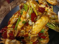 蛏子-潮庭·大连海鲜·炭火烧烤·扇贝王(大连店)