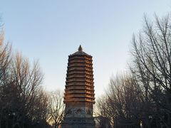 -玲珑塔公园
