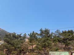 -崂山水果园农家宴(泉水鸡店)