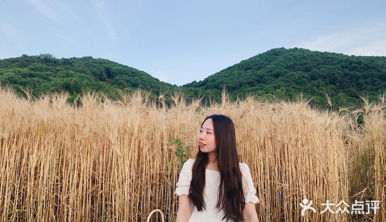 杭州滨江的麦田,在夕阳下奔跑吧