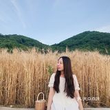 杭州滨江的麦田,在夕阳下奔跑吧