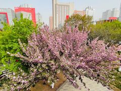 -西安创业咖啡街区