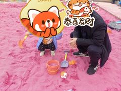-上海鲜花港