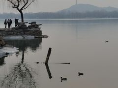 -颐和园