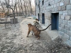 -北京野生动物园