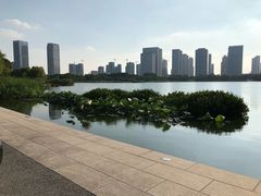 -尚贤河湿地