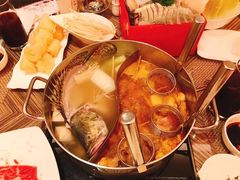 -四季火锅酒家(新濠影汇店)