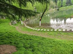 -后襄河公园
