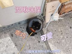 -士多咖啡·Stop Coffee