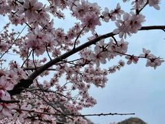 -红螺寺
