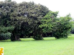-鹅銮鼻公园