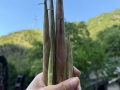 -长谷洞天