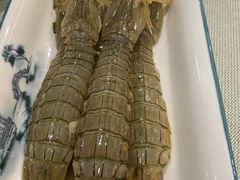 腌皮皮虾-渔娘渔家丹东海鲜(东直门店)