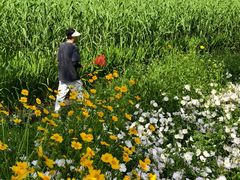 -长田漾湿地公园