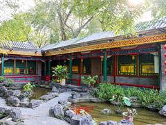 -白家大院·王府宫廷菜(苏州街店)