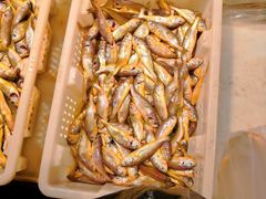 -大连熟食品交易中心