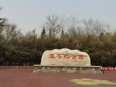 -莲花池公园