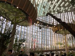 -二刀潮牛(重庆光环购物公园店)