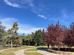 -长春公园(普阳街道)