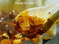 鳝鱼豆腐特写-小巴辣子川湘菜餐厅(星游城店)