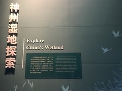 -中国湿地博物馆