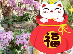 -亚龙湾热带天堂森林公园
