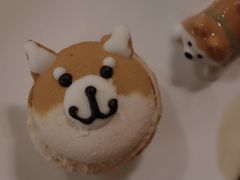 -柴务处·柴犬主题狗咖