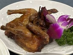 -鸽鸟轩(石岐店)