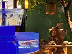 -佬麻雀·剁椒鱼头(京基KK One店)