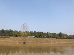 -洨河生态公园