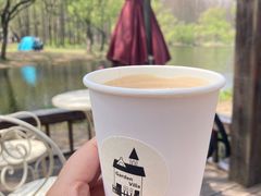 -上海共青森林公园