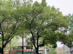 -杭州西湖银泰百货